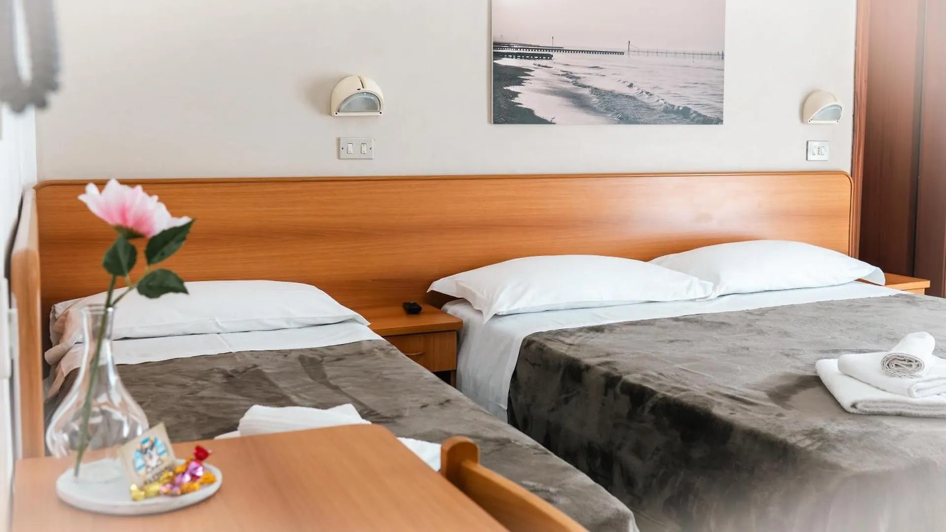 Hotel Fattori Cesenatico